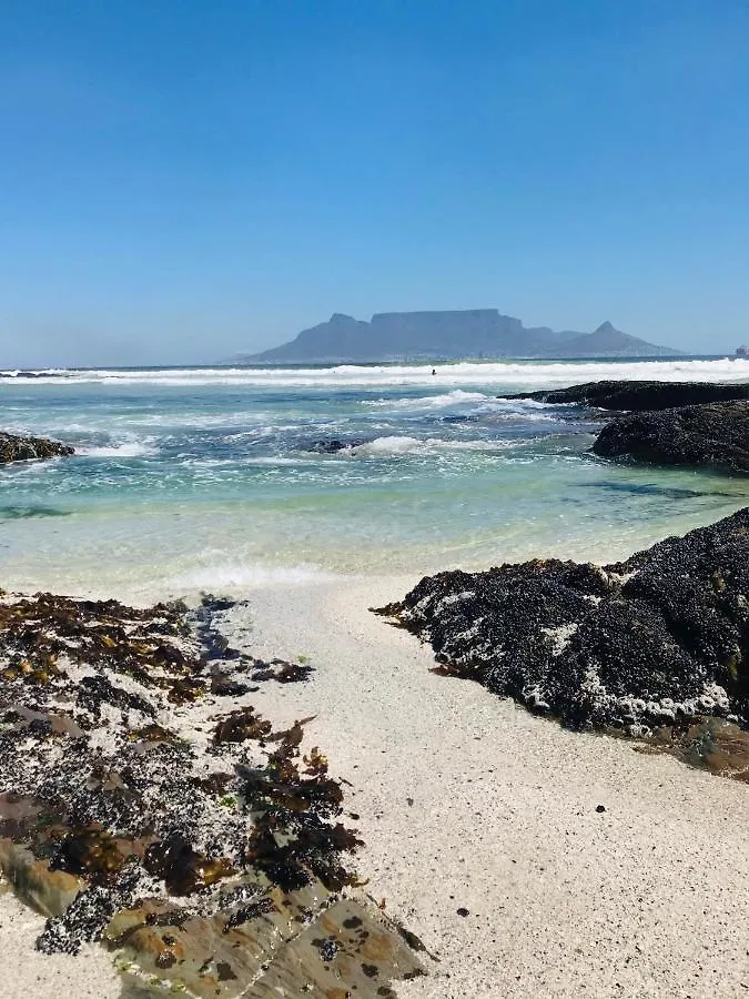 Stay At 11 On Gull Cape Town Guest house