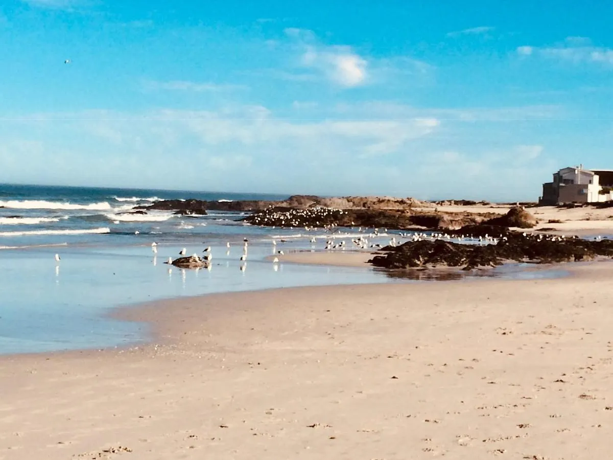 Guest house Stay At 11 On Gull Cape Town