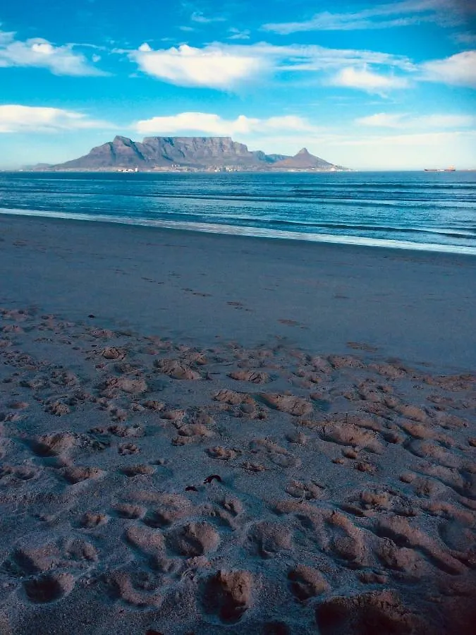 Stay At 11 On Gull Cape Town